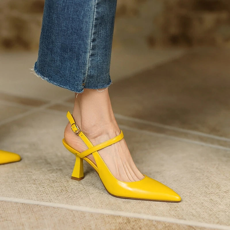 S136f6dc0c39549f7baf922d3e8db63a8c